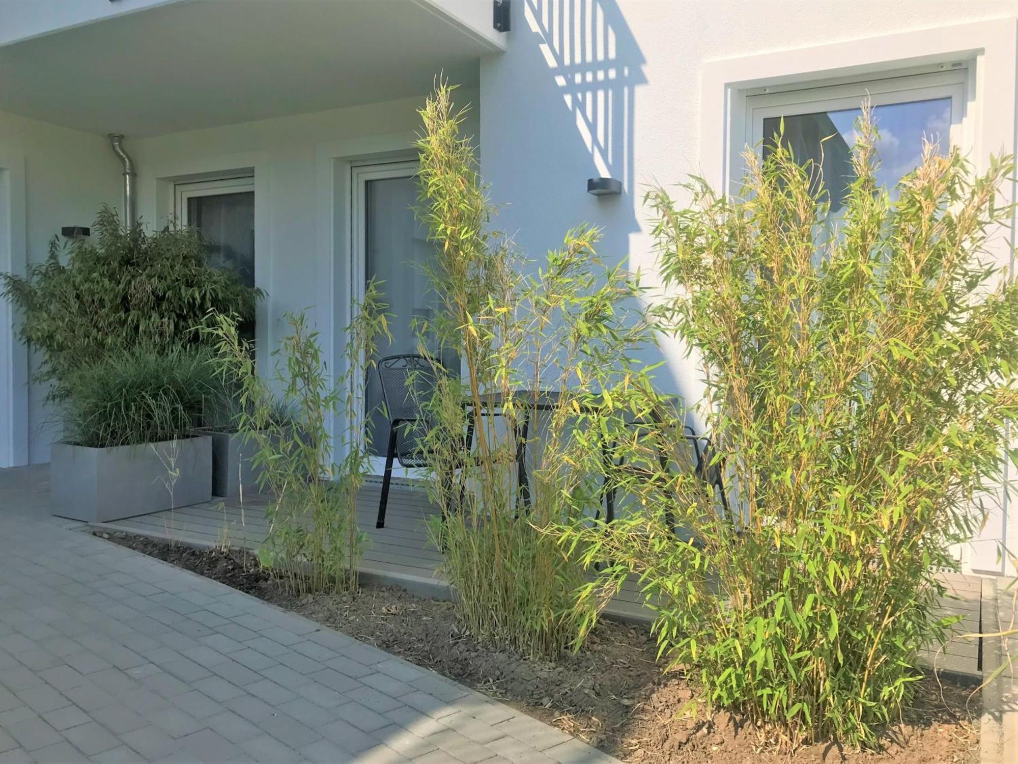 App 6, Strandresidenz Dünenperle Ostseebad Kühlungsborn Exterior foto